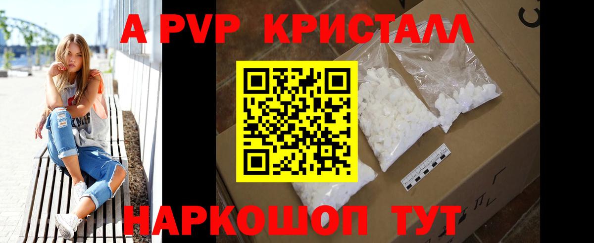 Альфа ПВП СК Каменка