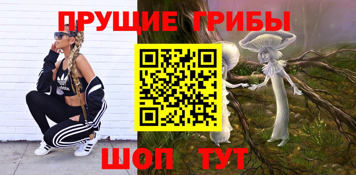 Галлюциногенные грибы мицелий  Вход с VPN  Каменка 